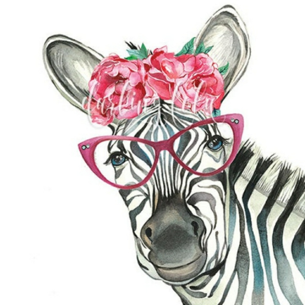 Outstanding 5 star🌟 Poshers, Zoe & Nicole